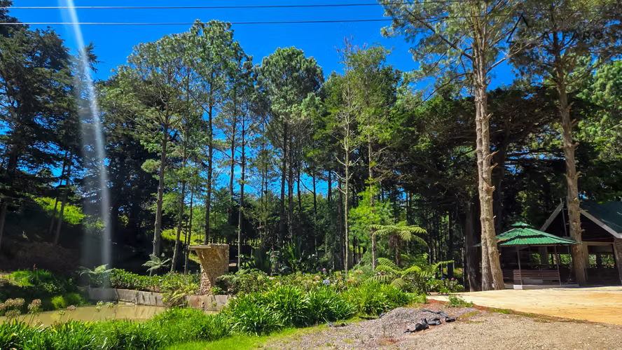 Amplio Terreno de Montaña de 1660 m² en Alpes de San Ignacio