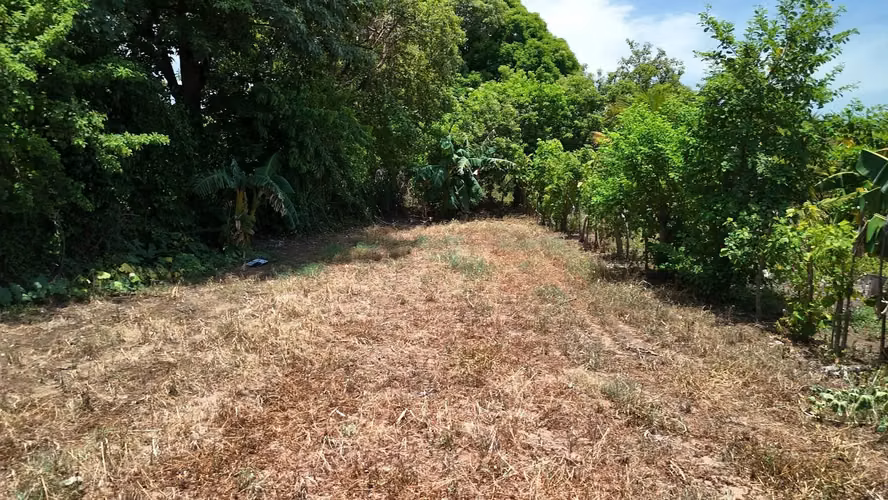 LOTE EN PUEBLO NUEVO USULUTÁN