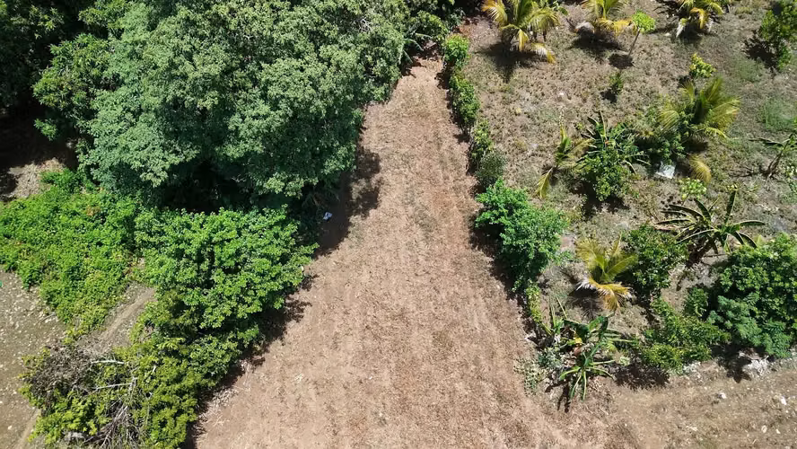 LOTE EN PUEBLO NUEVO USULUTÁN - Imagen 3