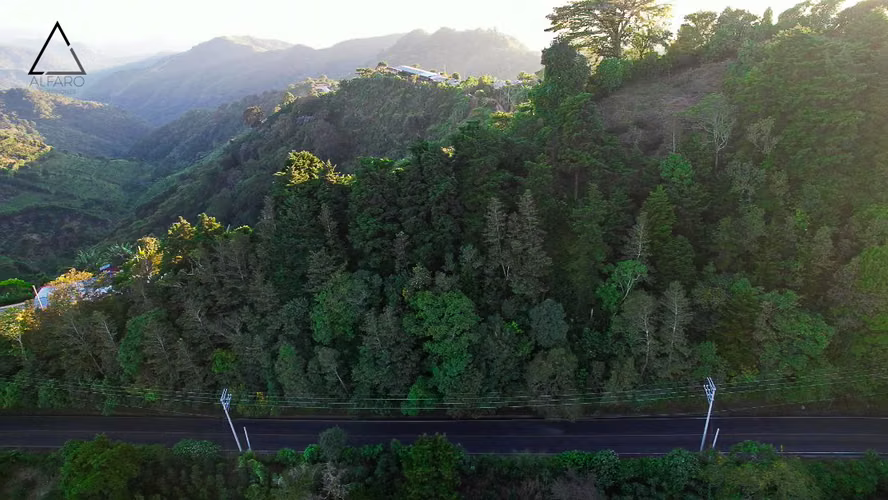 Terreno de Montaña 10,000 v² Jayaque-Comasagua | Vistas 360° y Acceso Directo - Imagen 12