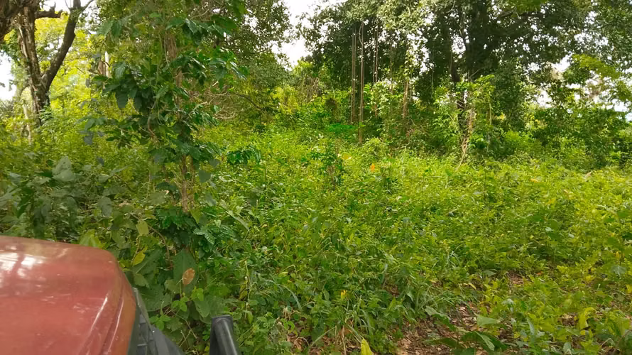 Se vende 2.5mz de terreno en polanco santa ana - Imagen 4