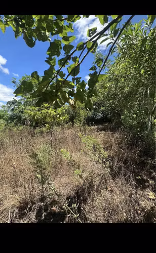 VENDO BONITO TERRENO EN SANTO DOMINGO 