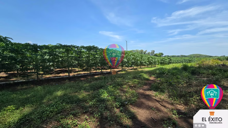 VENDO HACIENDA DE 70 MANZANAS EN SONSONATE CUENTA CON CUNETA DE RIEGO
