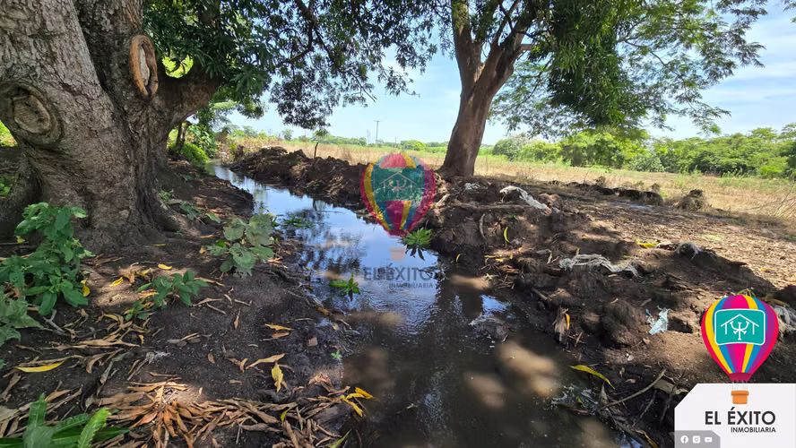 VENDO HACIENDA DE 70 MANZANAS EN SONSONATE CUENTA CON CUNETA DE RIEGO