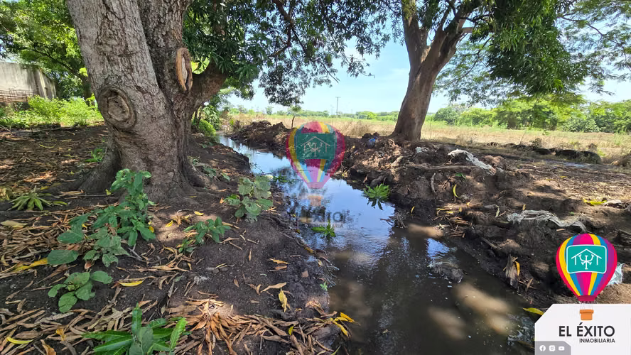 VENDO HACIENDA DE 70 MANZANAS EN SONSONATE CUENTA CON CUNETA DE RIEGO