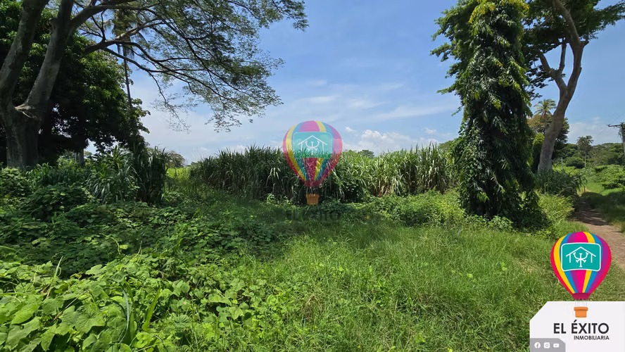 VENDO HACIENDA DE 70 MANZANAS EN SONSONATE CUENTA CON CUNETA DE RIEGO