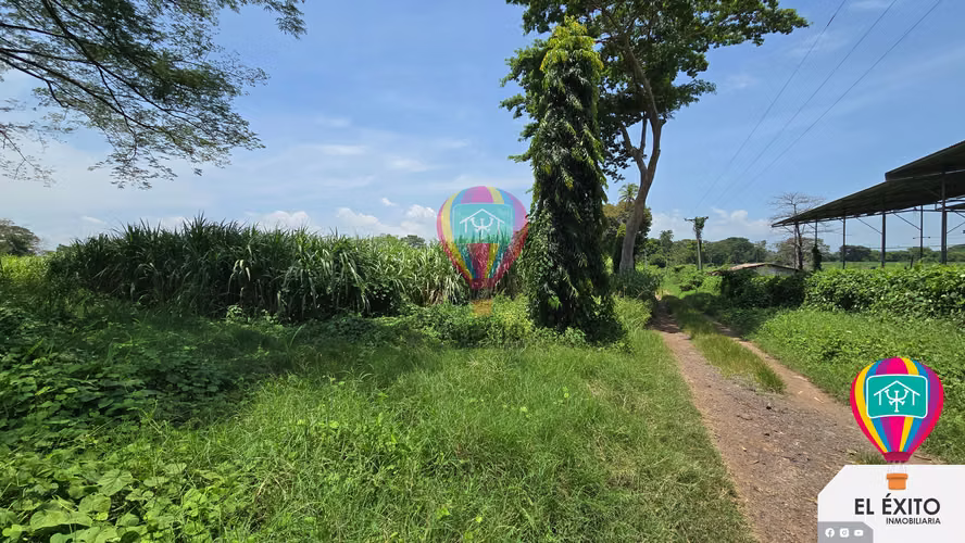VENDO HACIENDA DE 70 MANZANAS EN SONSONATE CUENTA CON CUNETA DE RIEGO