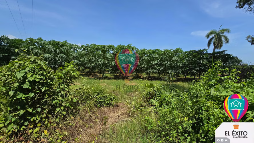 VENDO HACIENDA DE 70 MANZANAS EN SONSONATE CUENTA CON CUNETA DE RIEGO