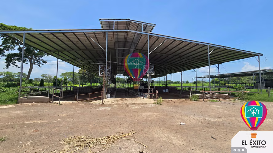 VENDO HACIENDA DE 70 MANZANAS EN SONSONATE CUENTA CON CUNETA DE RIEGO