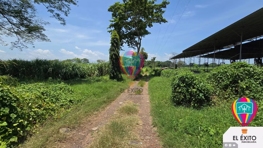 VENDO HACIENDA DE 70 MANZANAS EN SONSONATE CUENTA CON CUNETA DE RIEGO