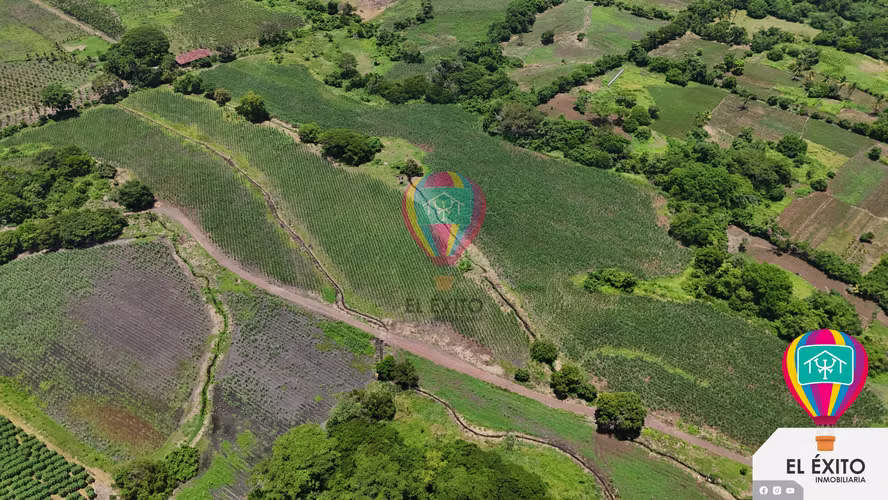VENDO HACIENDA DE 70 MANZANAS EN SONSONATE CUENTA CON CUNETA DE RIEGO