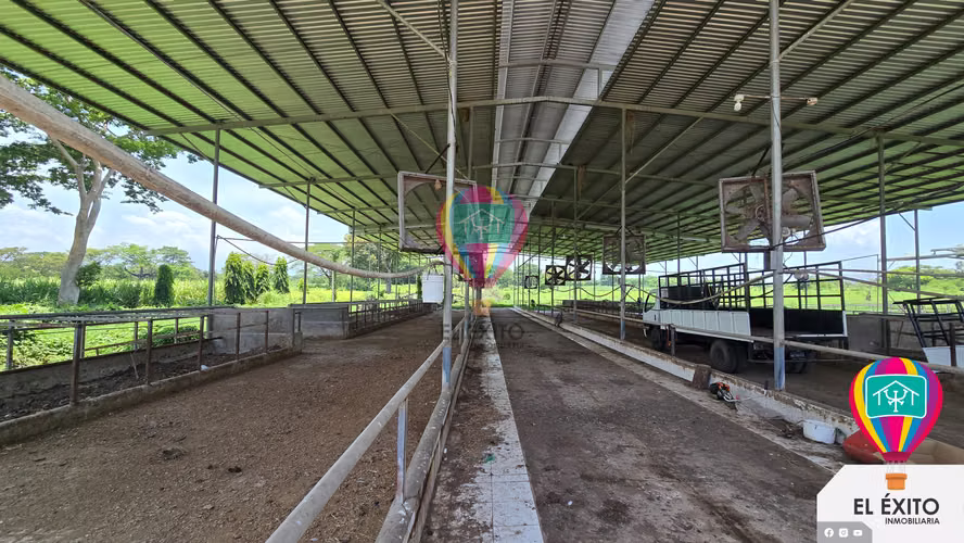 VENDO HACIENDA DE 70 MANZANAS EN SONSONATE CUENTA CON CUNETA DE RIEGO