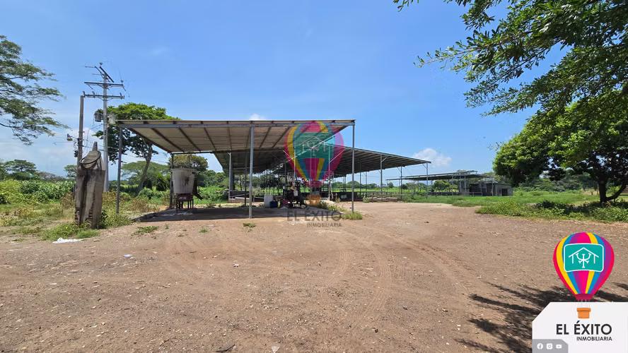 VENDO HACIENDA DE 70 MANZANAS EN SONSONATE CUENTA CON CUNETA DE RIEGO