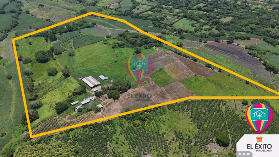 VENDO HACIENDA DE 70 MANZANAS EN SONSONATE CUENTA CON CUNETA DE RIEGO
