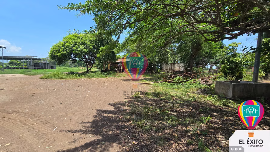 VENDO HACIENDA DE 70 MANZANAS EN SONSONATE CUENTA CON CUNETA DE RIEGO