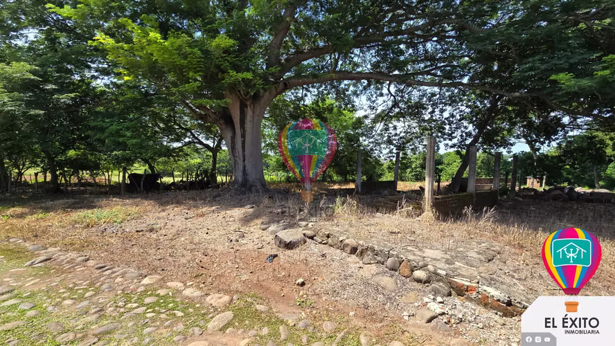VENDO TERRENO DE 4,75 MANZANA SOBRE LA CARRETERA A FRONTERA DE LA HACHADURA