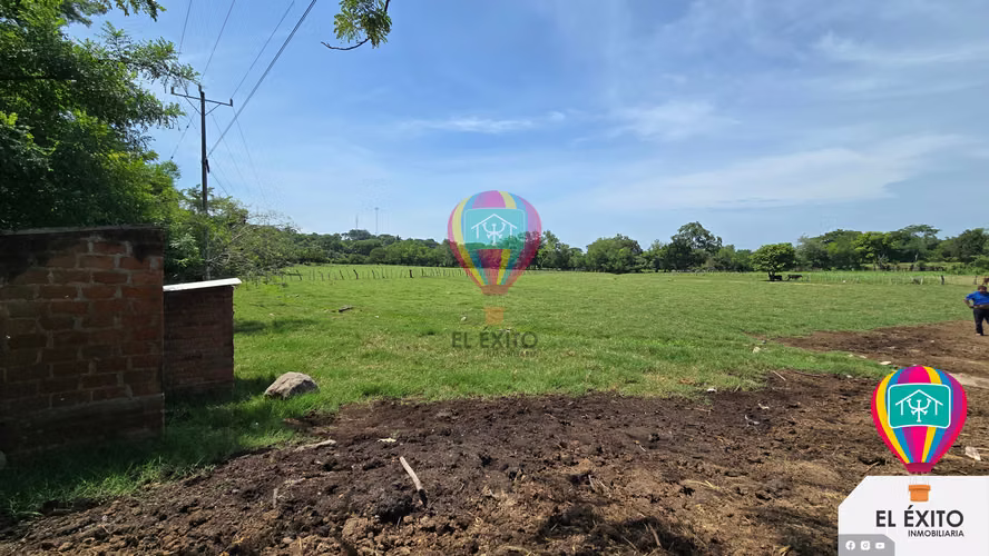 VENDO TERRENO DE 4 MANZANA SOBRE LA CARRETERA A FRONTERA DE LA HACHADURA 
