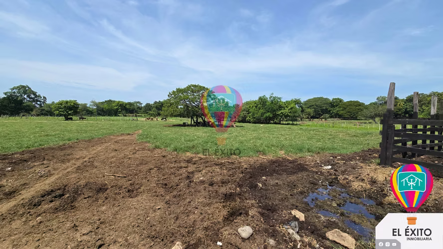 VENDO TERRENO DE 4 MANZANA SOBRE LA CARRETERA A FRONTERA DE LA HACHADURA 