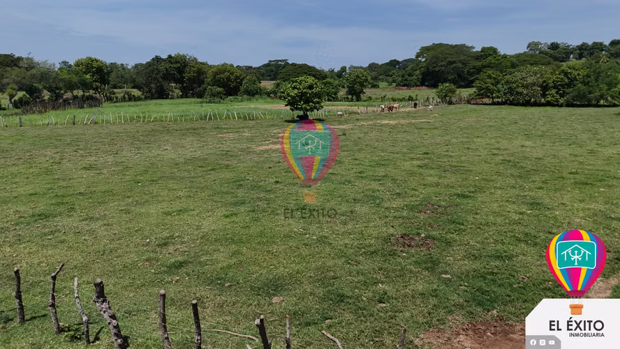 VENDO TERRENO DE 4 MANZANA SOBRE LA CARRETERA A FRONTERA DE LA HACHADURA 