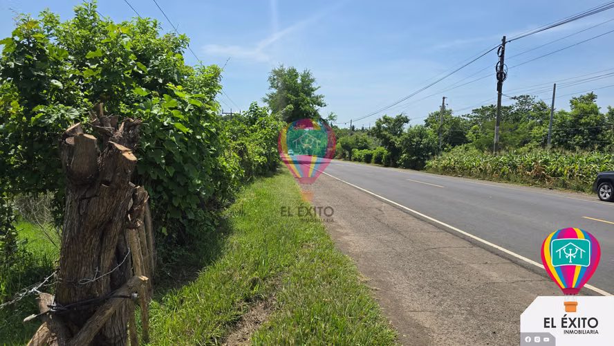 VENDO TERRENO DE 5 MANZANAS SOBRE LA CARRETERA A FRONTERA DE LA HACHADURA  - Imagen 5