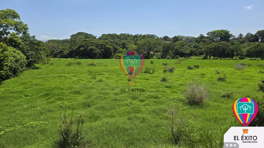 VENDO TERRENO DE 5 MANZANAS SOBRE LA CARRETERA A FRONTERA DE LA HACHADURA  - Imagen 4