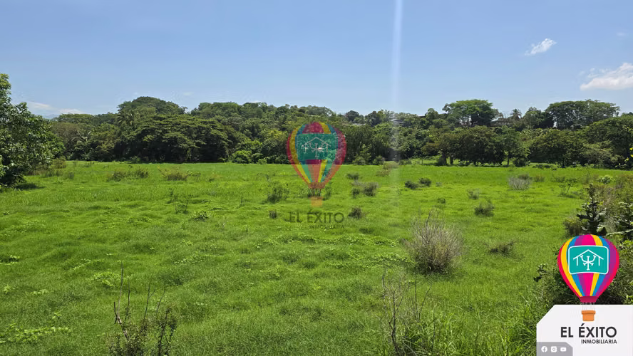 VENDO TERRENO DE 5 MANZANAS SOBRE LA CARRETERA A FRONTERA DE LA HACHADURA  - Imagen 2