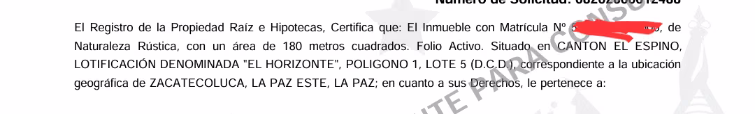 SE VENDEN DOS LOTES JUNTOS TOTALMENTE PLANOS EN LOTIFICACION EL HORIZONTE ZACATECOLUCA 