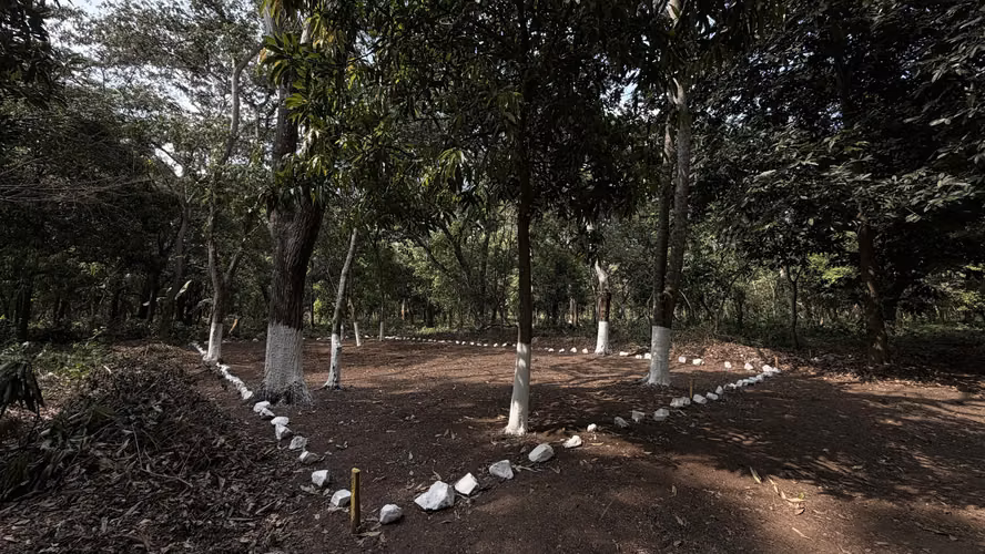 Bosques de la Empalizada  - Imagen 3