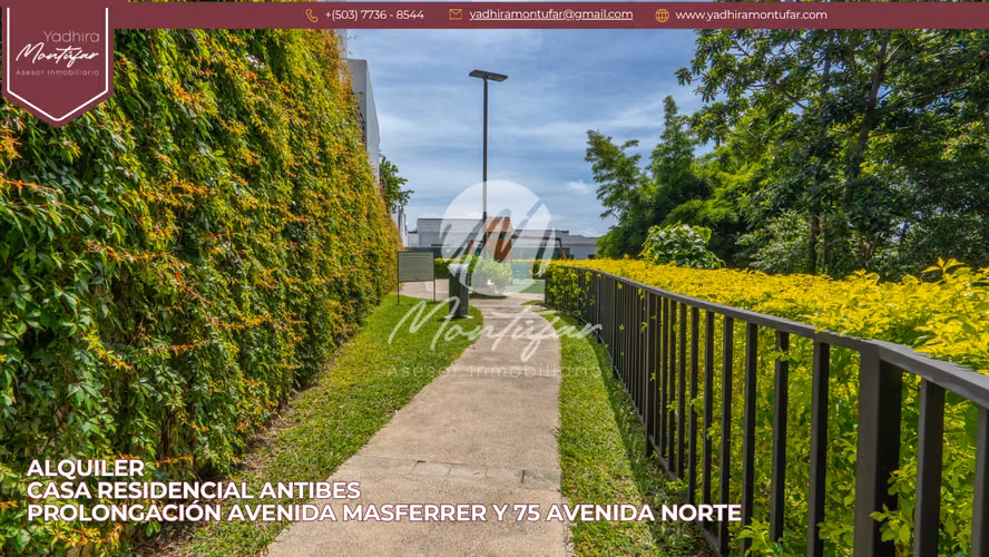 Alquiler Casa en Antibes zona prolongación Avenida Masferrer y 75 avenida norte - Imagen 14