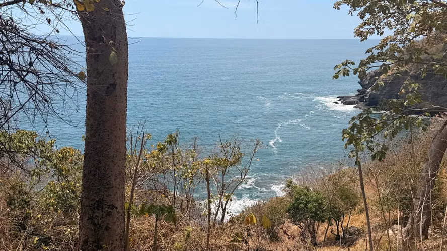 TERRENO FRENTE AL MAR EN VENTA – PLAYA EL ZONTE - Imagen 9