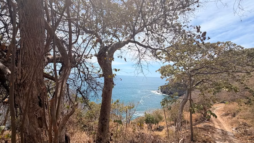 TERRENO FRENTE AL MAR EN VENTA – PLAYA EL ZONTE - Imagen 6