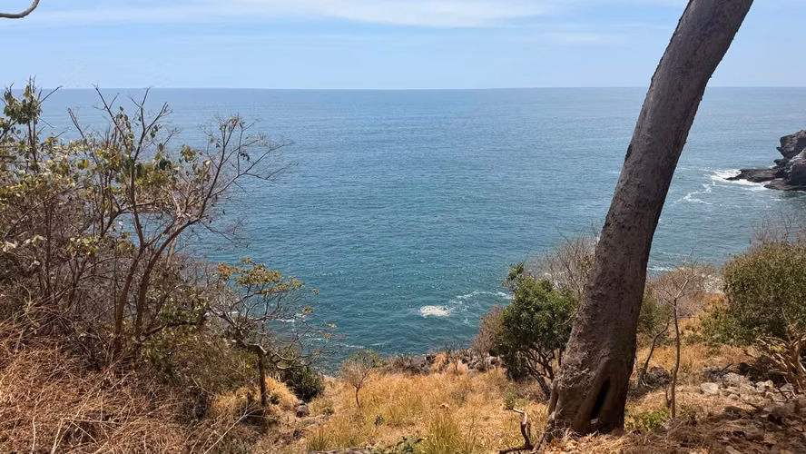TERRENO FRENTE AL MAR EN VENTA – PLAYA EL ZONTE - Imagen 1