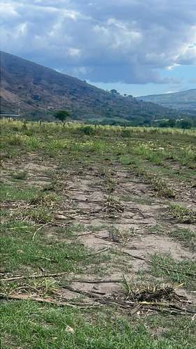 290 Mz planas en Aguilares - Imagen 2