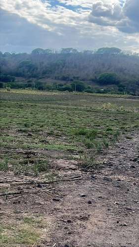 290 Mz planas en Aguilares - Imagen 4