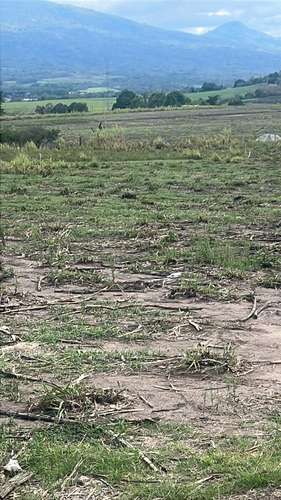 290 Mz planas en Aguilares - Imagen 3