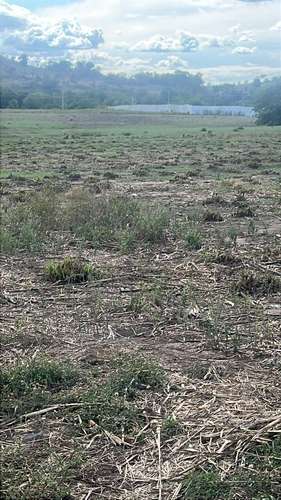 290 Mz planas en Aguilares - Imagen 5
