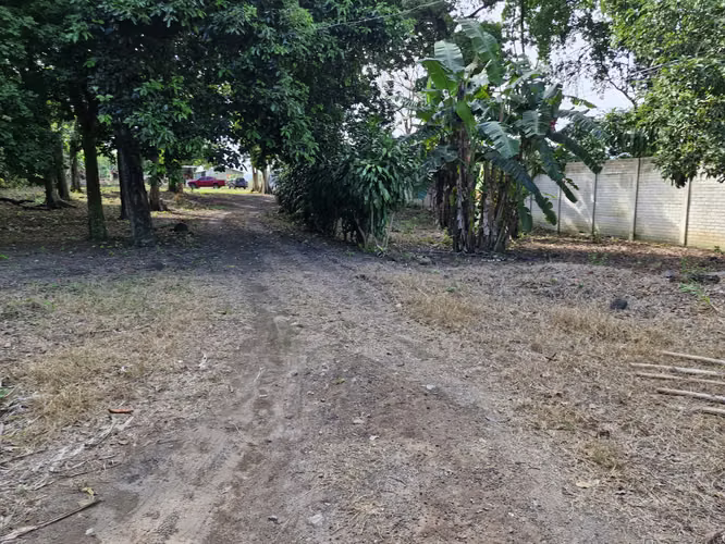 Terreno en venta en el Salitre Nejapa  - Imagen 4