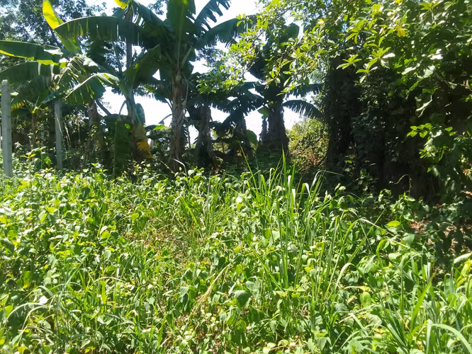 Venta de Terreno en los Llanitos - Imagen 2