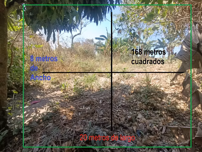 Sale of land in the Llanitos