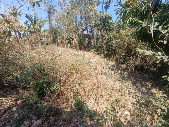 Venta de Terreno en los Llanitos - Imagen 3