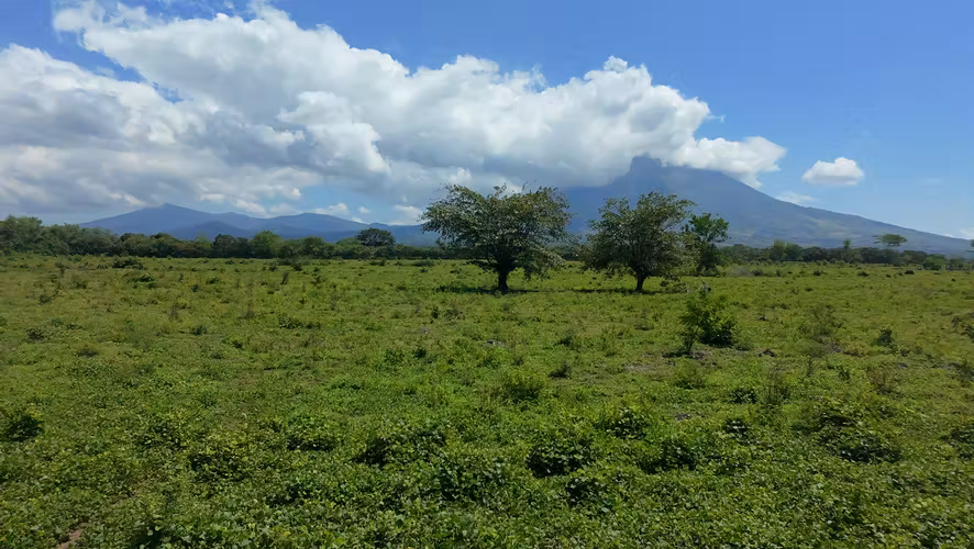 Venta de Terreno – El Tránsito, San Miguel - Imagen 4