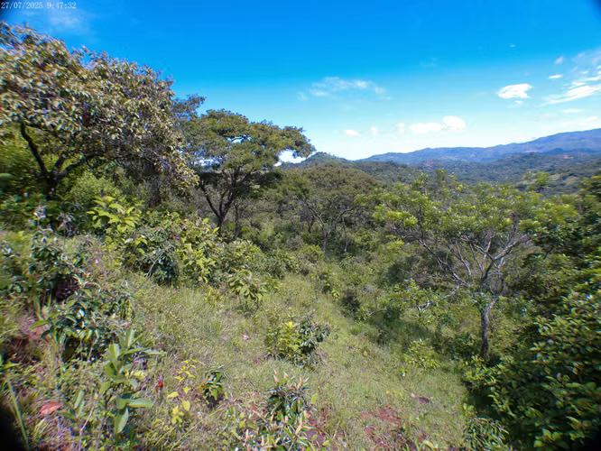 Venta de Terreno Rural en Lislique, La Unión - Imagen 3