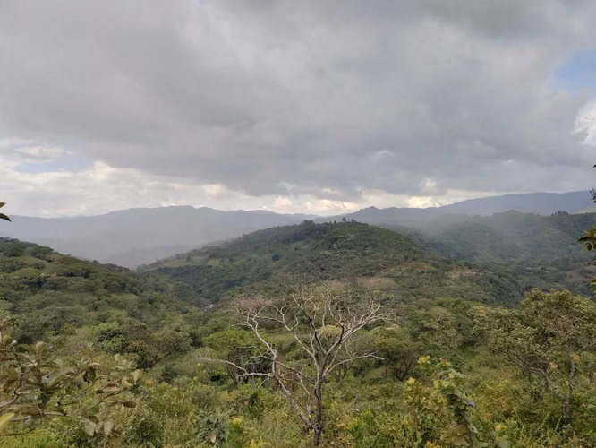 Venta de Terreno Rural en Lislique, La Unión - Imagen 5