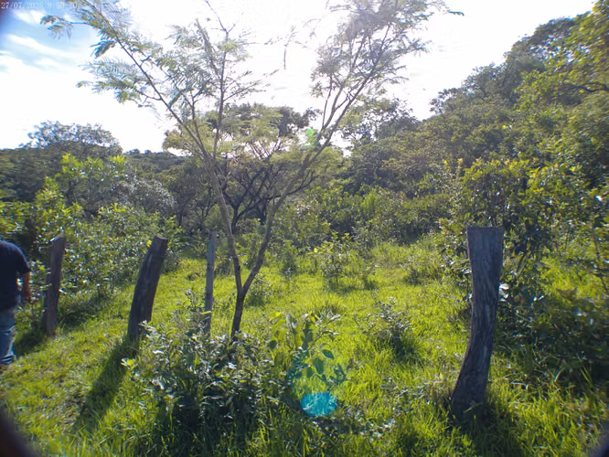 Venta de Terreno Rural en Lislique, La Unión - Imagen 2