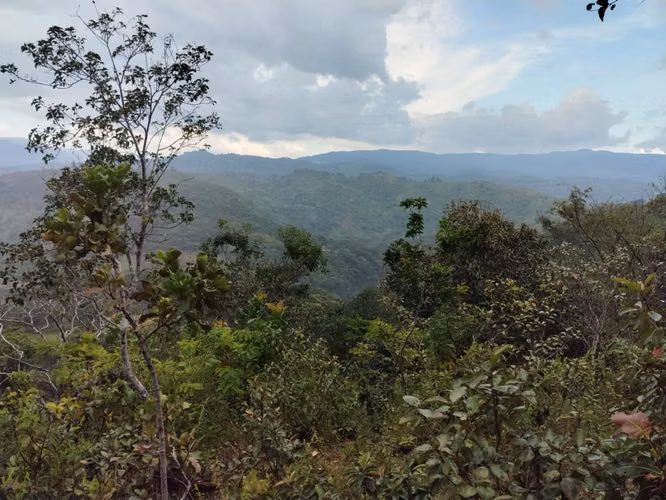 Venta de Terreno Rural en Lislique, La Unión - Imagen 6