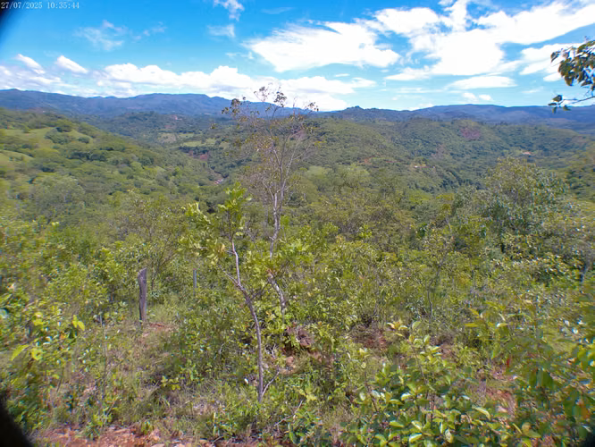 Venta de Terreno Rural en Lislique, La Unión - Imagen 4