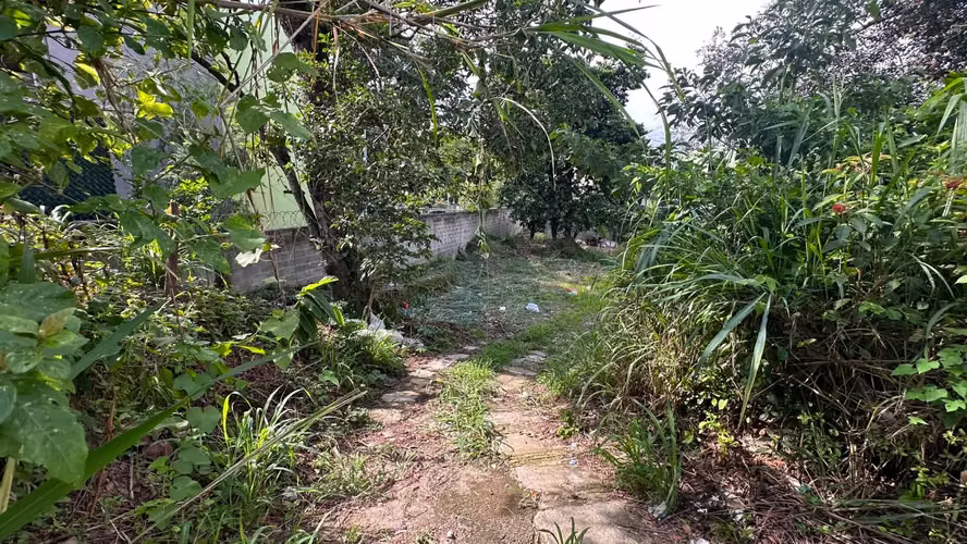 Se alquila lote para negocio – Col. 15 de Septiembre - Imagen 5