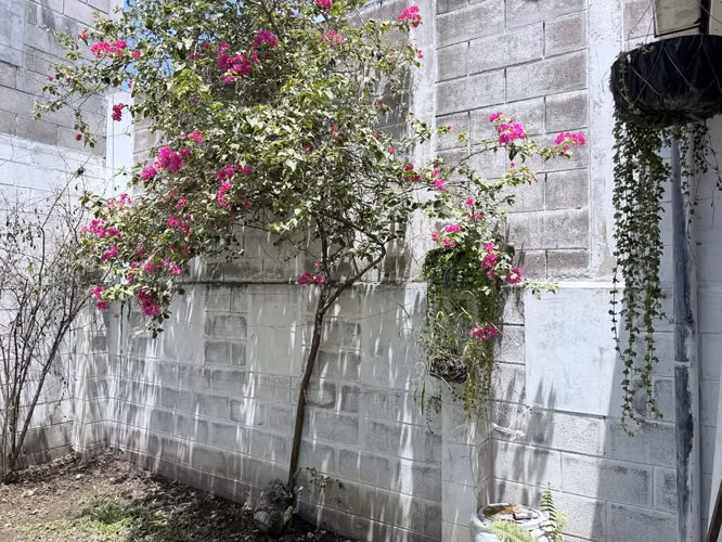 Casa en PASEO el PRADO con 4 Cuartos y 4 Baños  - Imagen 10