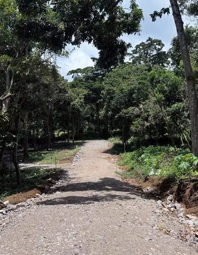 Terrenos en Apaneca, Ahuachapan, El Salvador  - Imagen 2