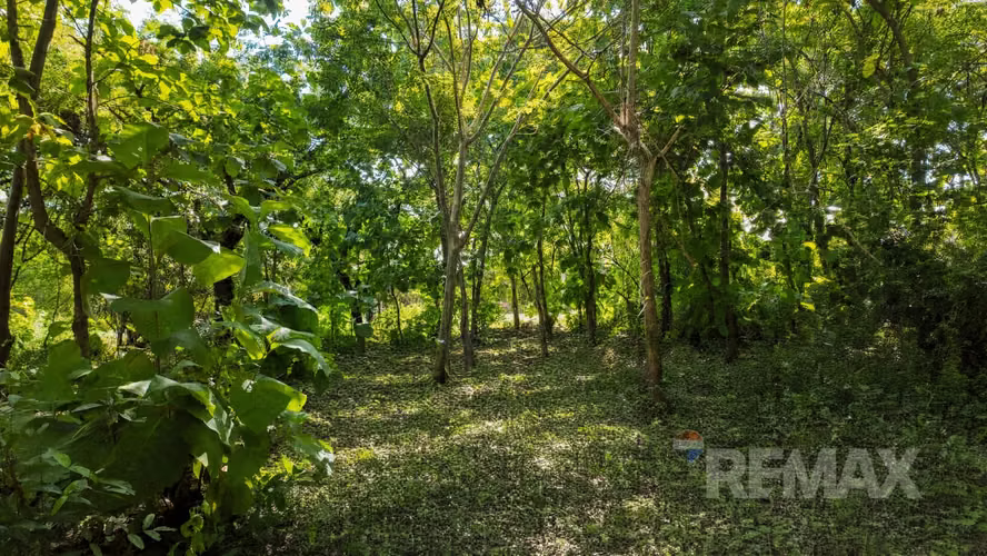 PLAYA EL SUNZAL | TERRENO EN VENTA | RESIDENCIAL CERROMAR. C VISTA AL MAR - Imagen 6